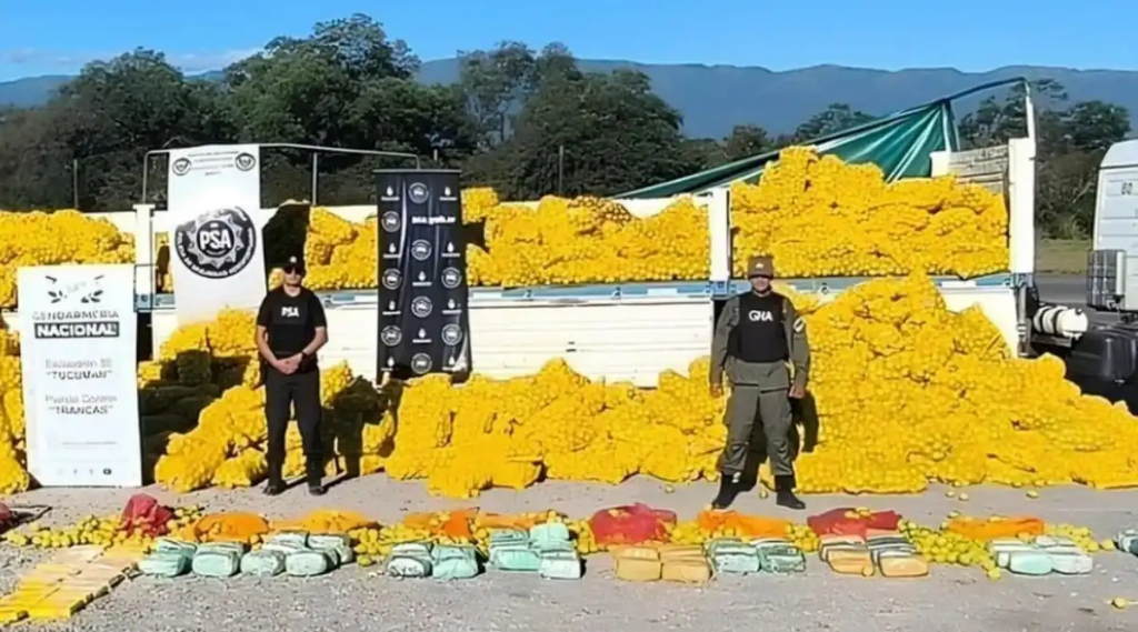Imputan a los narcos que usaron un cargamento de limones para ocultar una carga de 52 kilos de cocaína